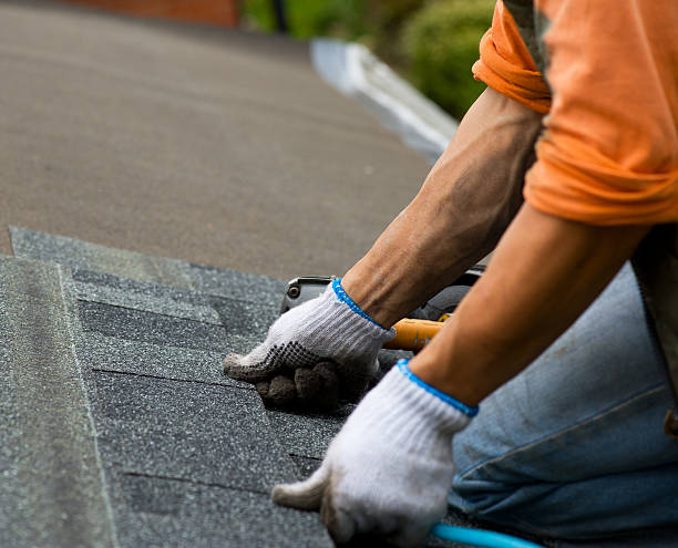 Best Flat Roof Repair Services  in French Island, WI